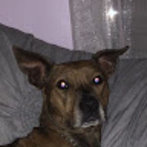 Meet your Posher, Valeria a.